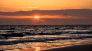 Sunset ocean birds clouds lighthouse - a sunset over the ocean free wallpaper
