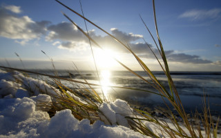 Sunshine clouds beach grass snow - a sun free wallpaper for desktop