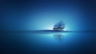 Lone tree reflection night stars - dreamlike free wallpaper for desktop