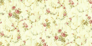 Floral pink rose white background - a floral wallpaper free wallpaper