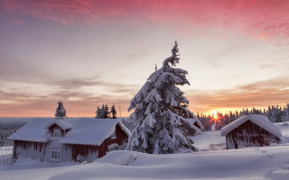 Snowy landscape sunset cabin tree - arvid nyholm free wallpaper