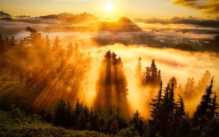 Mountain trees fog sunset crepuscular - the cloud and the sun free wallpaper