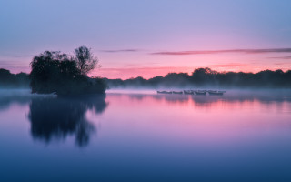 Lake boat fog dusk trees - fog in the air and trees free wallpaper