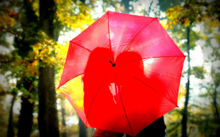 Red umbrella forest romantic autumn - a red umbrella free wallpaper for desktop