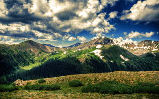 Mountain range clouds grassy field - a few bush and bushes free wallpaper
