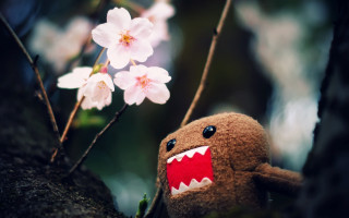 Stuffed animal tree cherry blossoms - dom qwek free wallpaper for desktop