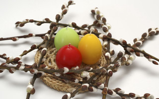 Three eggs nest twigs berries - folk art free wallpaper