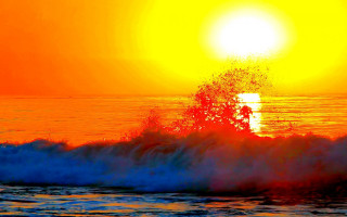 Sunset wave tree orange sky - orange sky free wallpaper