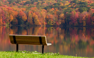 Lake bench autumn leaves forest - bob ross free wallpaper for desktop