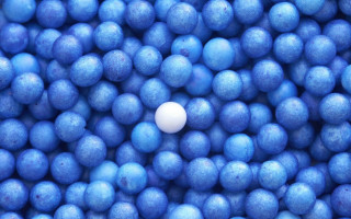 White egg blue bowl blueberries - aquirax uno free wallpaper