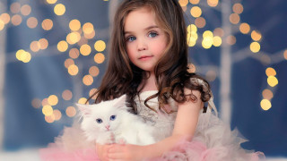 Little girl white cat pink - a christmas tree in the background free wallpaper