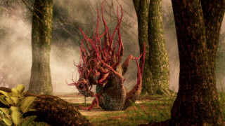 Weird creature forest fog fantasy - weird free wallpaper for desktop