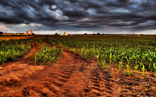 Dirt road storm clouds cityscape - a dirt road in a field free wallpaper
