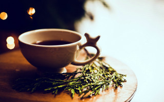 Coffee rosemary candle star outdoors - afewerk tekle free wallpaper for desktop
