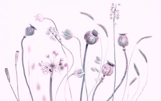 Flowers vase table branch pink - a bunch of flowers free wallpaper for desktop
