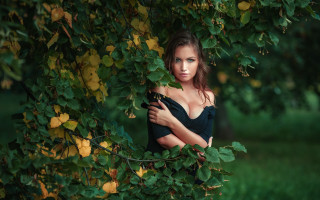 Woman black dress tree leaves - artur tarnowski free wallpaper