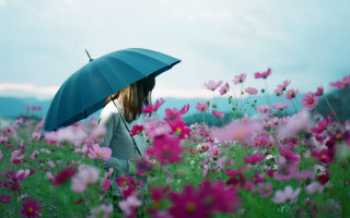 Woman umbrella flower field pink - atey ghailan free wallpaper for desktop