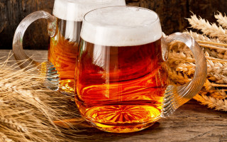 Beer pitcher mug wheat barley - adolf bierbrauer free wallpaper