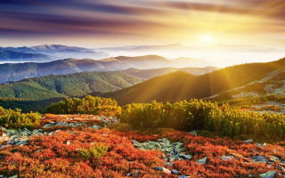 Mountain range sunset autumn leaves - the sun free wallpaper for desktop