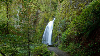 Waterfall forest path person standing - a waterfall in a forest free wallpaper