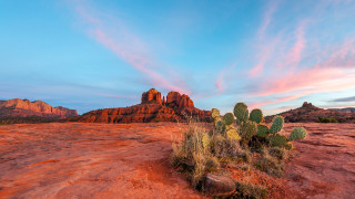 Cactus desert mountain sunset clouds - dawn free wallpaper