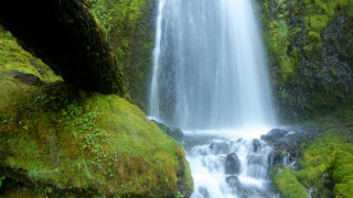 Waterfall moss rocks fallen tree - fallen free wallpaper