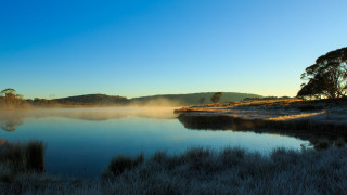 Lake forest fog sunrise bush - elizabeth durack free wallpaper