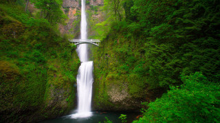 Waterfall bridge river forest nature 2 - the middle of a forest area free wallpaper