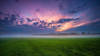 Mystical color field sunset horizon - grass and trees free wallpaper