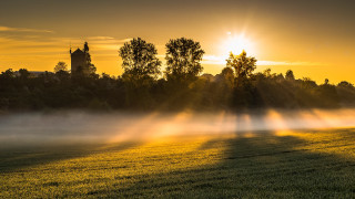 Autumn fog misty trees building - crepuscular free wallpaper for desktop