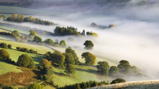 Foggy valley trees grass clouds - mist free wallpaper for desktop