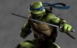 Teenage ninja turtle sword helmet - one hand free wallpaper