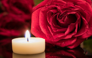 Candle rose water droplets reflection - single free wallpaper