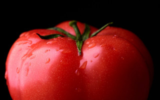Tomato water droplets macro photography - water droplet free wallpaper