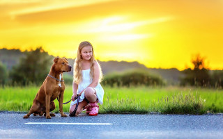 Girl dog sunset outdoors braid - the sun setting behind them free wallpaper