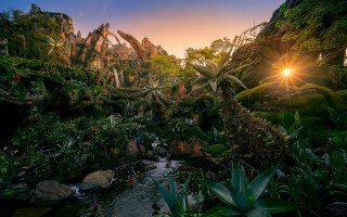 Tropical jungle sunset stream matte - ultra wide angle free wallpaper