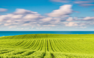 Green field water clouds landscape - a large field free wallpaper