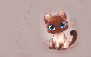 Blue eyed cat standing next - a cat free wallpaper