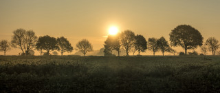 Foggy sunset mountain lake trees - godray free wallpaper