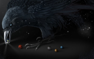 Bird open planets star night - its beak open free wallpaper