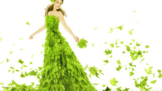 Green dress leaves butterflies plant - a white backdrop free wallpaper
