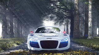 White car forest road night - fog free wallpaper
