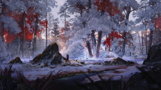 Snowy forest fire person autumn - anato finnstark free wallpaper for desktop