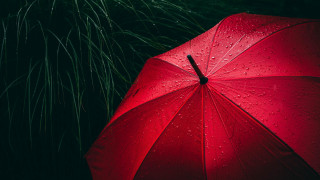 Red umbrella night fireflies stars - a dark sky in the background free wallpaper