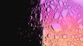 Water drops cherry blossoms night - chromatic aberration free wallpaper