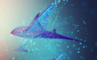 Birds bubbles blue sky aurora - a group of birds free wallpaper