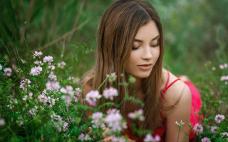 Red dress flower field blurry - a field of flowers and grass free wallpaper