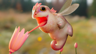 Pink dragon flower wings open - a dragon like body free wallpaper