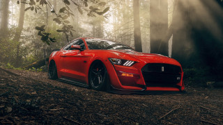 Red sports car woods sunbeams - a trail free wallpaper