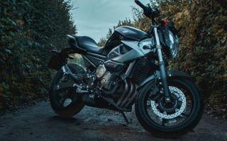 Motorcycle forest road bush tilt - a road next free wallpaper